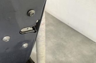 Porte arriere gauche OPEL CORSA D