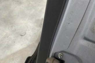 Porte arriere gauche OPEL CORSA D