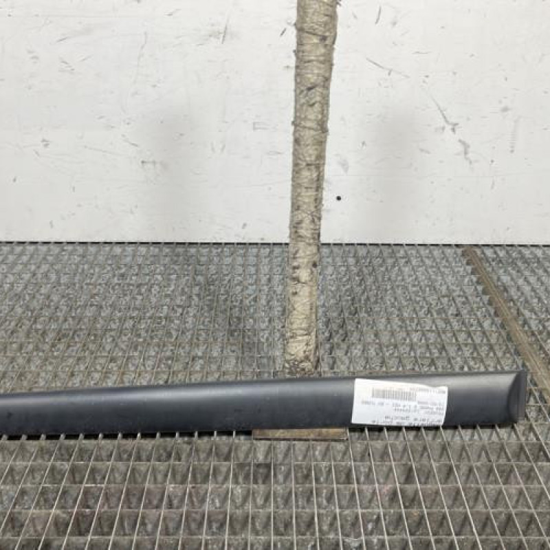 Baguette de porte arriere gauche  PEUGEOT 206 Photo n°1