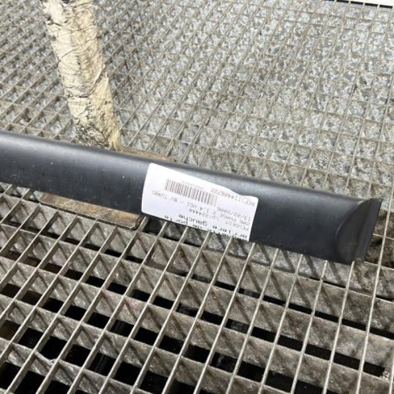 Baguette de porte arriere gauche  PEUGEOT 206 Photo n°3