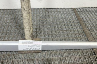 Baguette de porte arriere gauche  RENAULT CLIO 3 Photo n°1