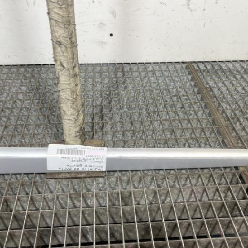 Baguette de porte arriere gauche  RENAULT CLIO 3 Photo n°1