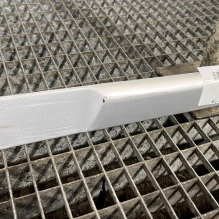 Baguette de porte arriere gauche  RENAULT CLIO 3