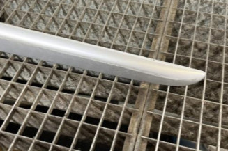 Baguette de porte arriere gauche  RENAULT CLIO 3