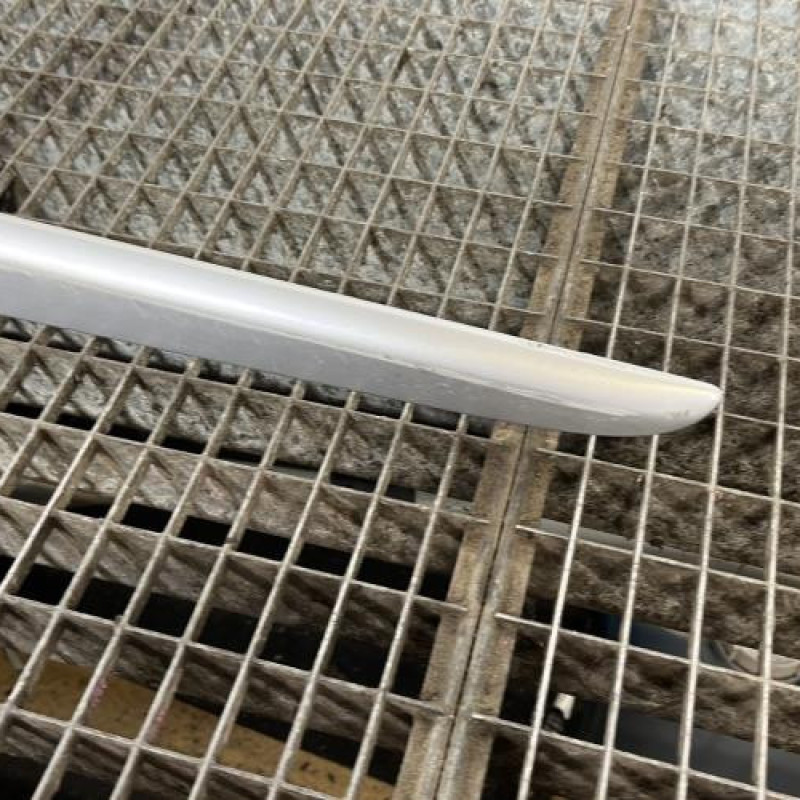 Baguette de porte arriere gauche  RENAULT CLIO 3 Photo n°3