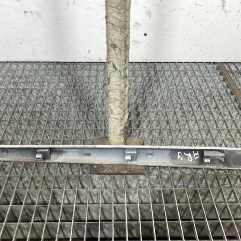 Baguette de porte arriere gauche  RENAULT CLIO 3 Photo n°4