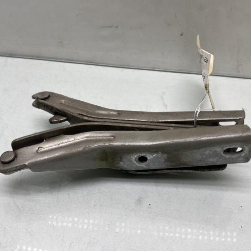 Charniere de capot PEUGEOT 206 Photo n°3