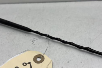 Antenne CITROEN C3 3