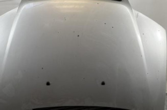 Capot FIAT PUNTO 2 Photo n°1