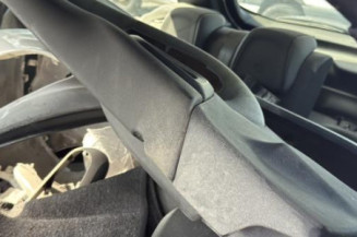 Custode arriere gauche CITROEN DS3