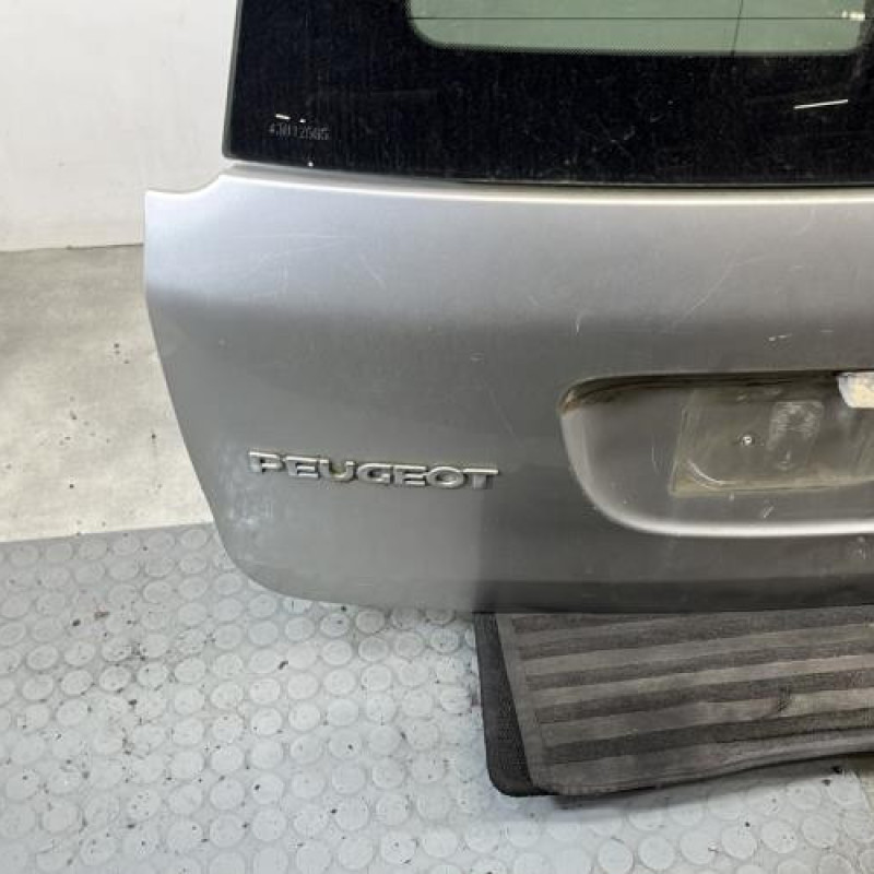 Malle/Hayon arriere PEUGEOT 206 Photo n°5