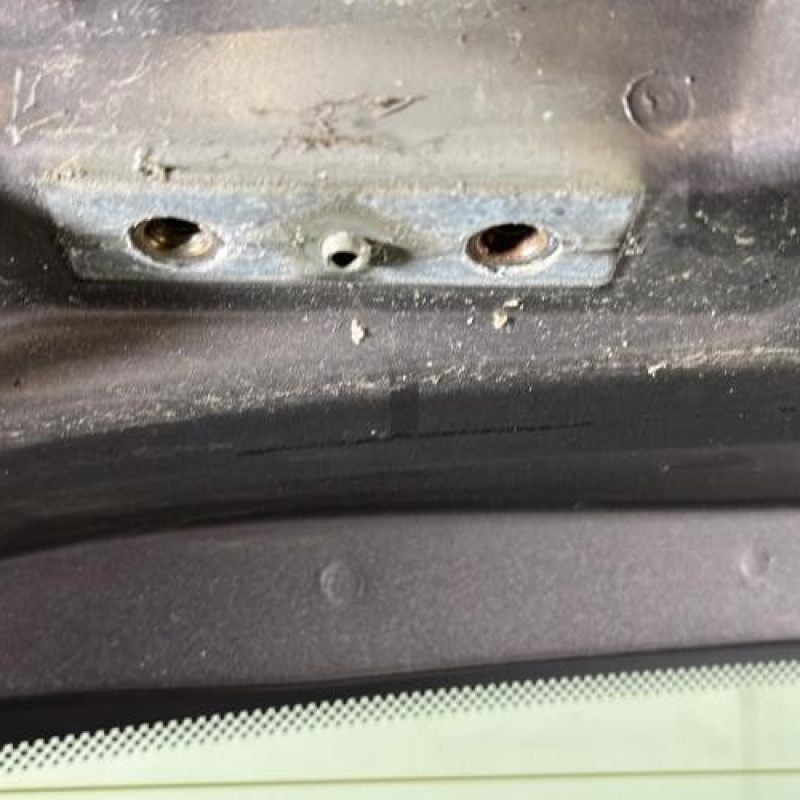 Malle/Hayon arriere RENAULT GRAND MODUS Photo n°6