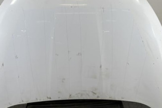 Capot FORD C-MAX 2 Photo n°1