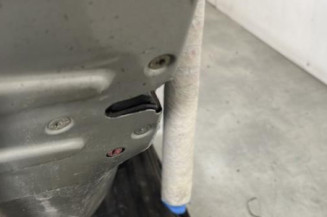 Porte arriere gauche PEUGEOT 206