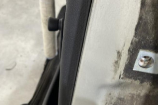 Porte arriere gauche PEUGEOT 206