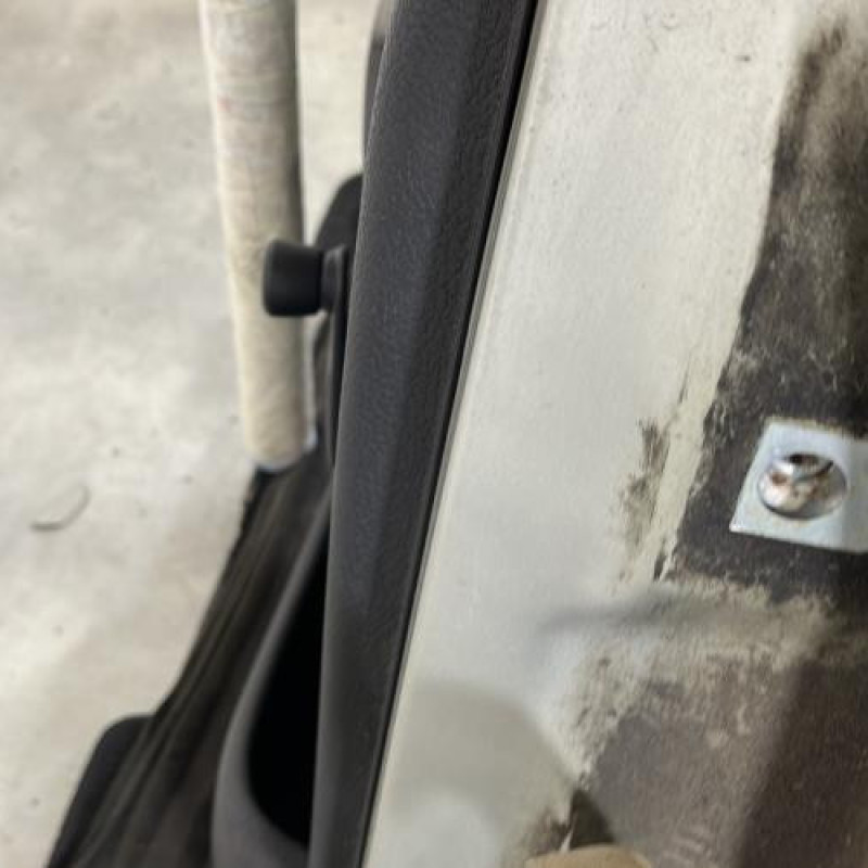 Porte arriere gauche PEUGEOT 206 Photo n°4