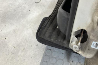 Porte arriere gauche PEUGEOT 206