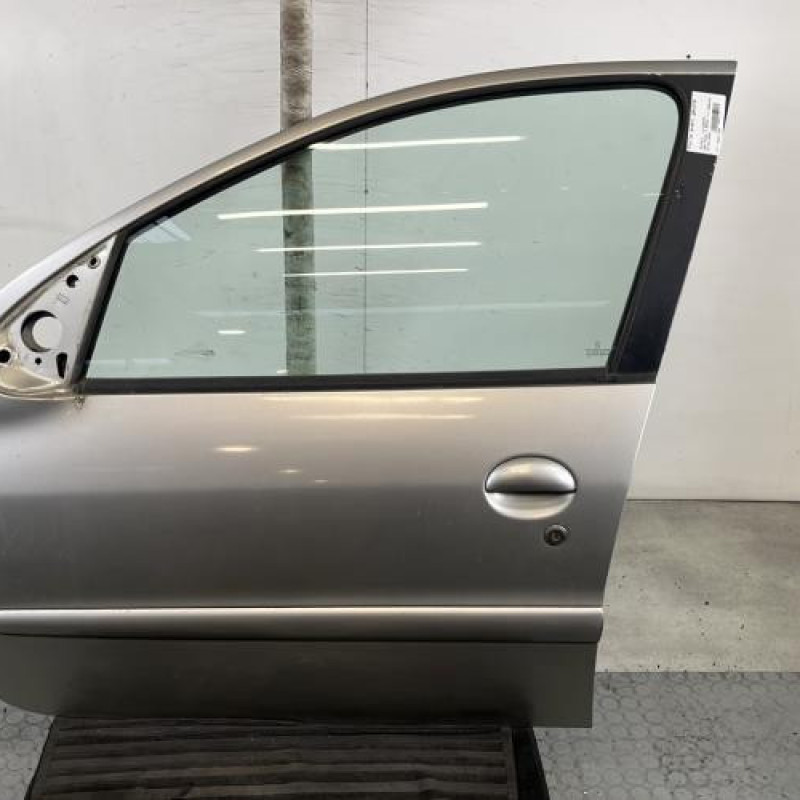 Porte avant gauche PEUGEOT 206 Photo n°1