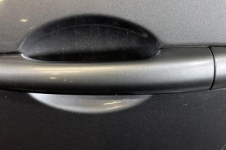 Porte arriere gauche RENAULT GRAND MODUS