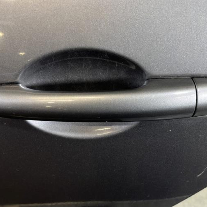 Porte arriere gauche RENAULT GRAND MODUS Photo n°2