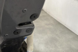 Porte arriere gauche RENAULT GRAND MODUS