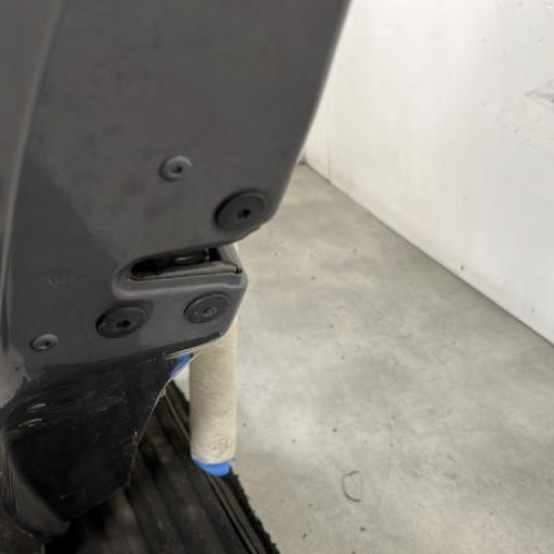 Porte arriere gauche RENAULT GRAND MODUS Photo n°3