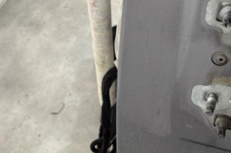 Porte arriere gauche RENAULT GRAND MODUS