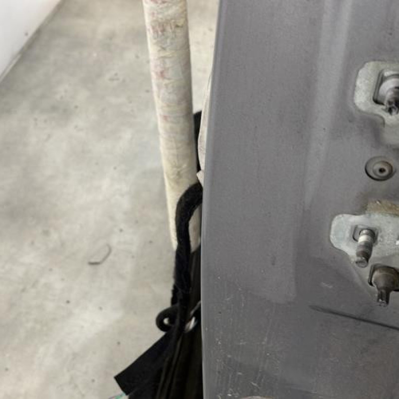 Porte arriere gauche RENAULT GRAND MODUS Photo n°4