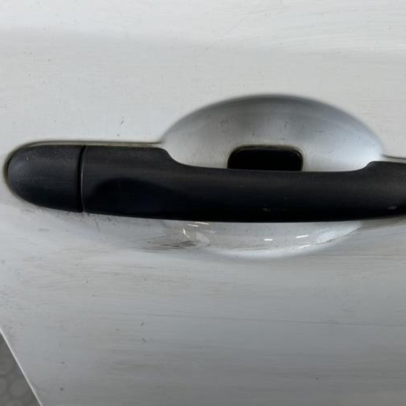 Porte avant droit RENAULT MEGANE 3 Photo n°2