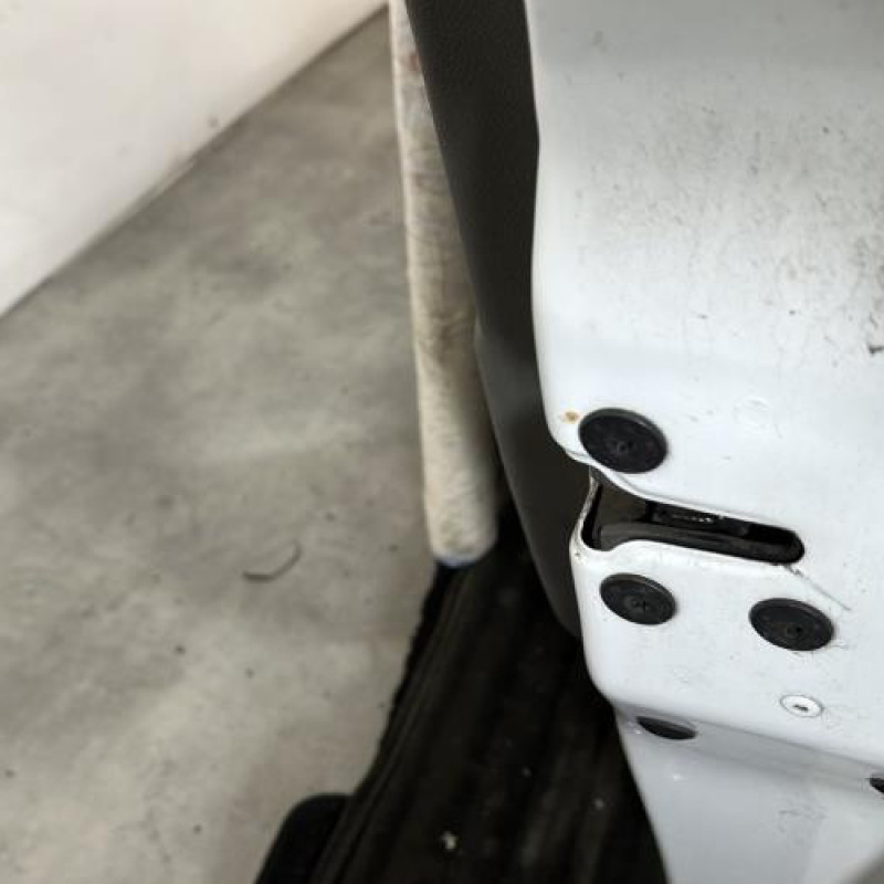 Porte avant droit RENAULT MEGANE 3 Photo n°3