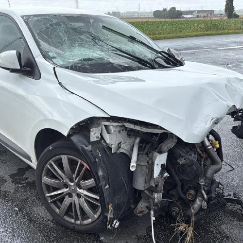 Porte avant droit RENAULT MEGANE 3 Photo n°9