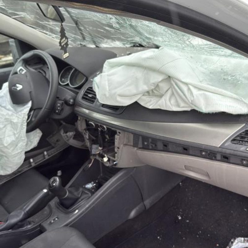 Porte avant droit RENAULT MEGANE 3 Photo n°14