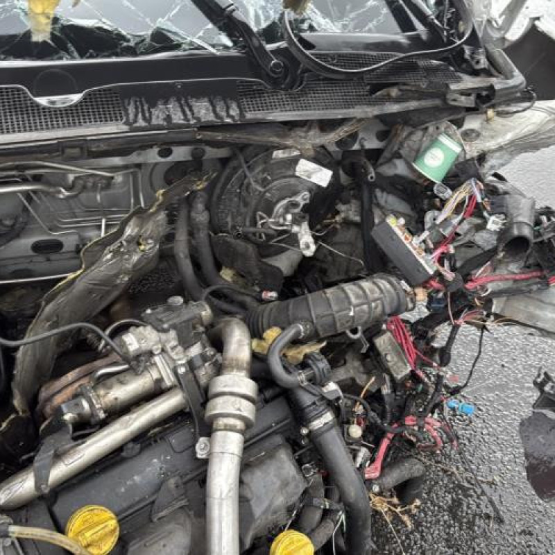 Porte avant droit RENAULT MEGANE 3 Photo n°18