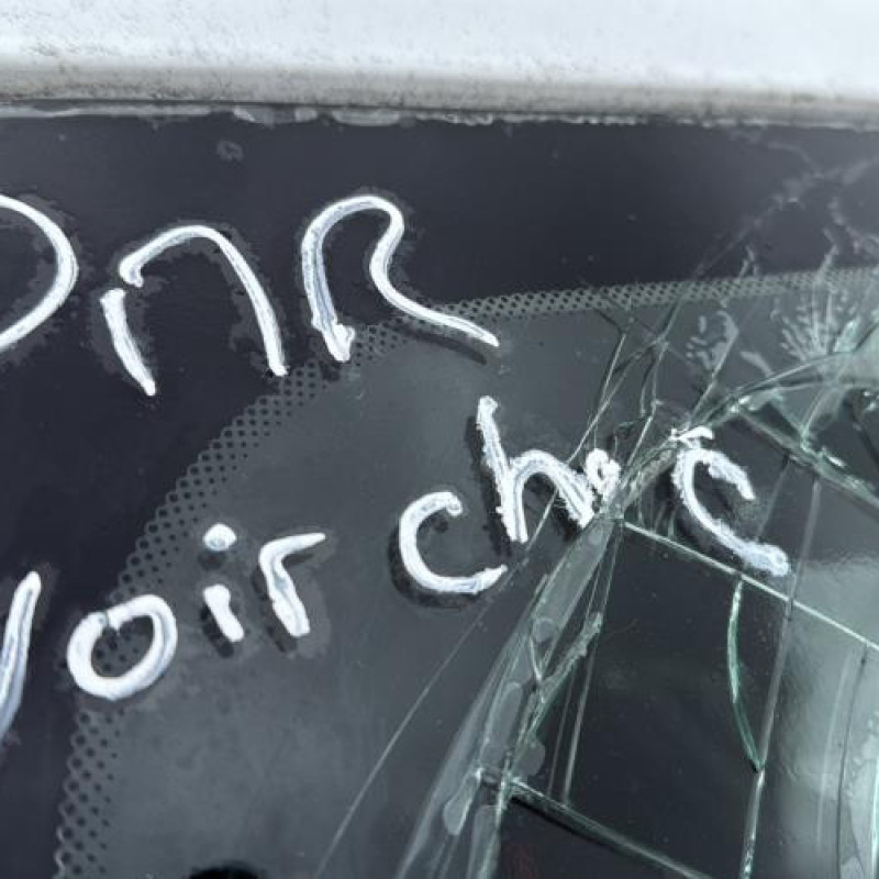 Porte avant droit RENAULT MEGANE 3 Photo n°19