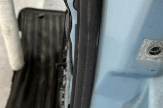 Porte arriere gauche AUDI A6 3