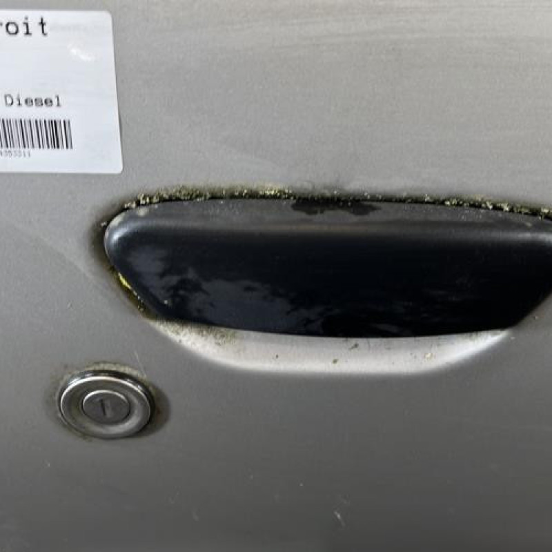 Porte avant droit FIAT PUNTO 2 Photo n°2