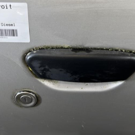 Porte avant droit FIAT PUNTO 2