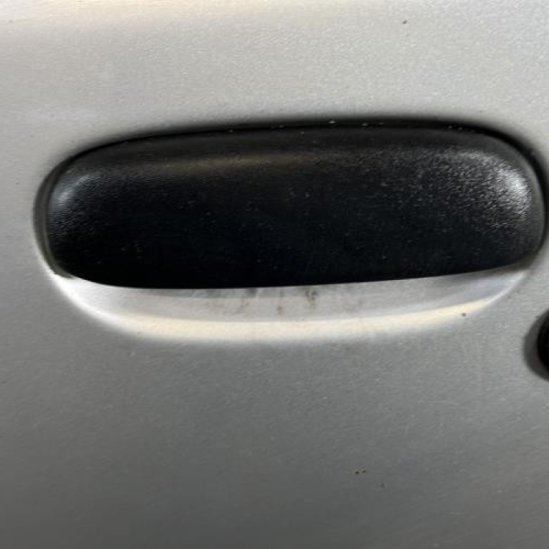 Porte avant gauche FORD FIESTA 4 Photo n°2