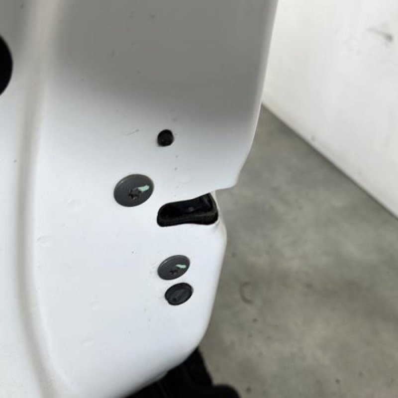 Porte avant gauche CITROEN C3 2 Photo n°3