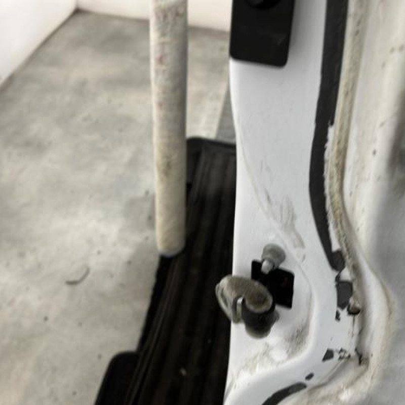 Porte avant gauche FORD C-MAX 2 Photo n°6