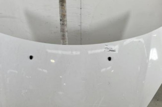 Capot CITROEN C3 2 Photo n°1