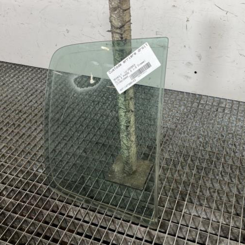 Custode arriere droit (porte) RENAULT CLIO 2 Photo n°3