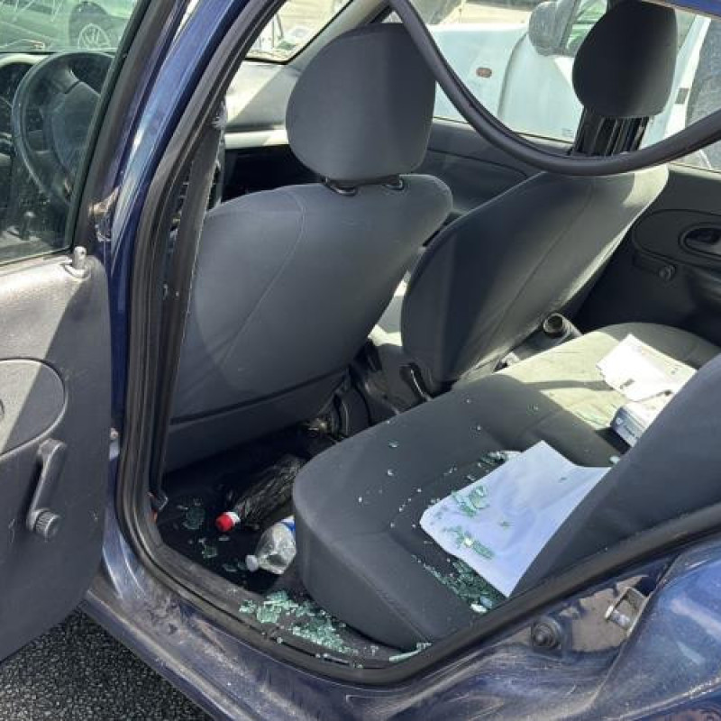 Custode arriere droit (porte) RENAULT CLIO 2 Photo n°14