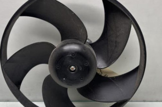 Moto ventilateur radiateur PEUGEOT 206 Photo n°1