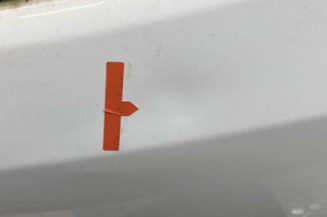 Malle/Hayon arriere DACIA SANDERO 2