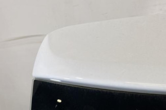 Malle/Hayon arriere DACIA SANDERO 2