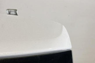 Malle/Hayon arriere DACIA SANDERO 2