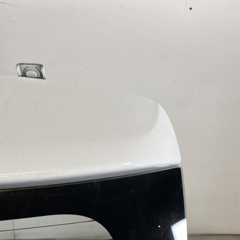 Malle/Hayon arriere DACIA SANDERO 2 Photo n°4