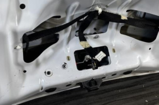 Malle/Hayon arriere DACIA SANDERO 2