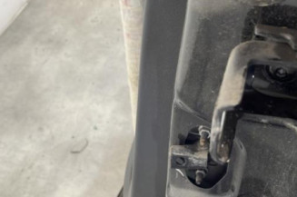 Porte arriere gauche CITROEN C3 3